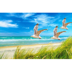 See 3DM 05 3D  Magnet